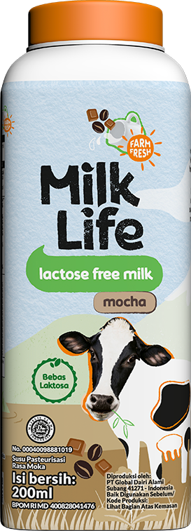 MilkLife Fresh Milk Lactose Free Mocha 200ml